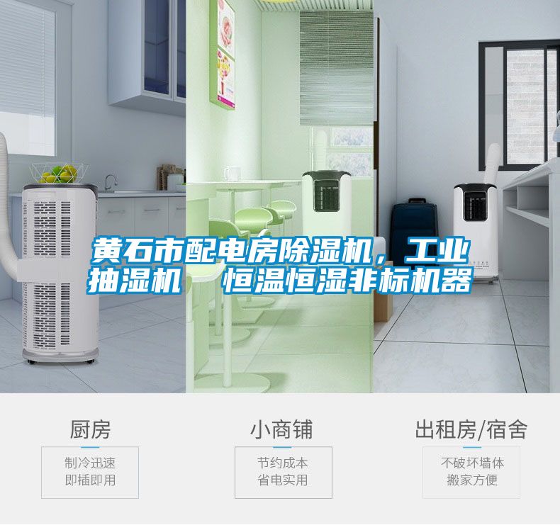 黄石市配电房麻豆视频黄网站，工业抽湿机  恒温恒湿非标机器