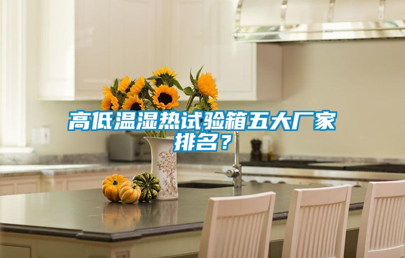 高低温湿热试验箱五大厂家排名？