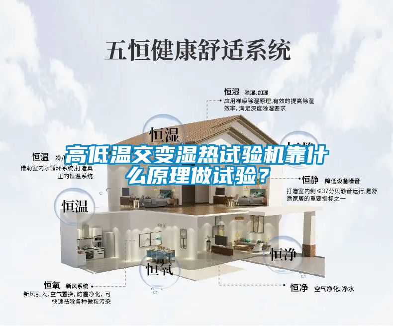 高低温交变湿热试验机靠什么原理做试验？