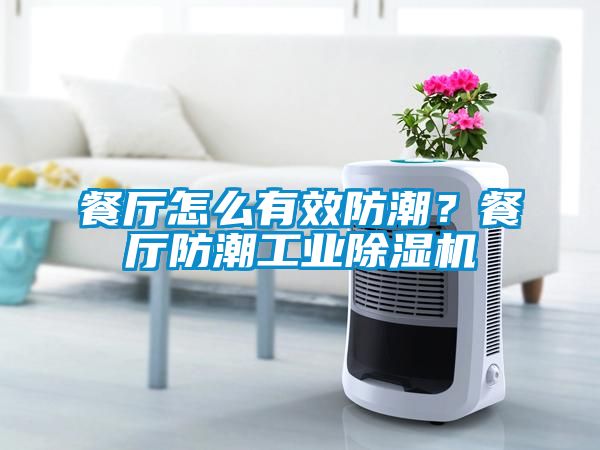 餐厅怎么有效防潮？餐厅防潮工业麻豆视频黄网站