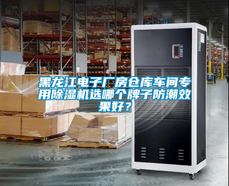 黑龙江电子厂房仓库车间专用麻豆视频黄网站选哪个牌子防潮效果好？