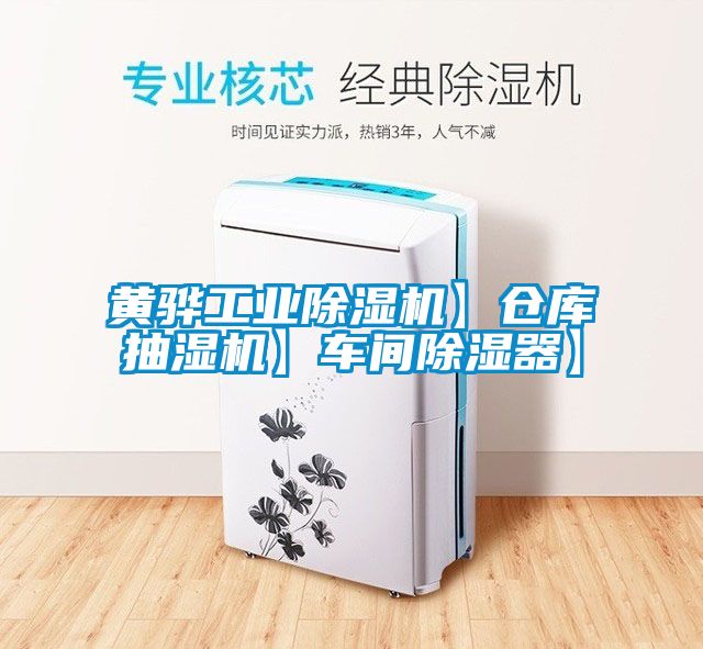 黄骅工业麻豆视频黄网站】仓库抽湿机】车间除湿器】