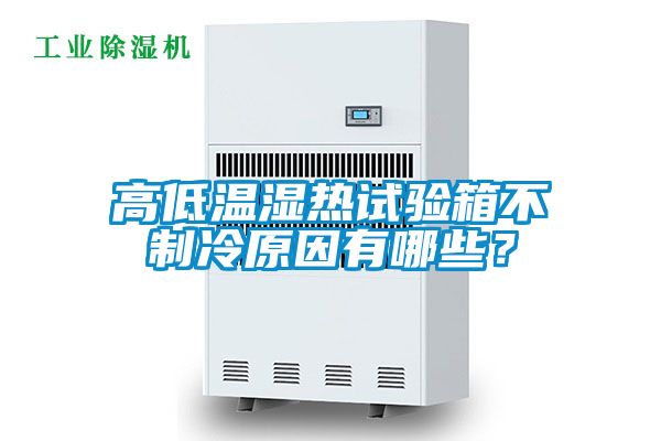 高低温湿热试验箱不制冷原因有哪些？