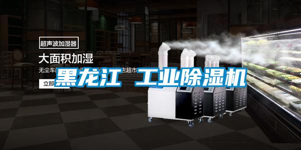 黑龙江 工业麻豆视频黄网站