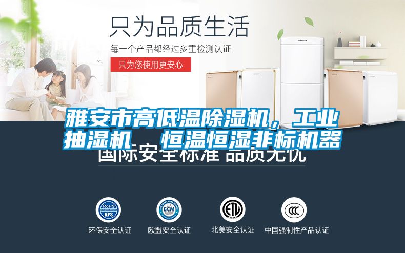 雅安市高低温麻豆视频黄网站，工业抽湿机  恒温恒湿非标机器