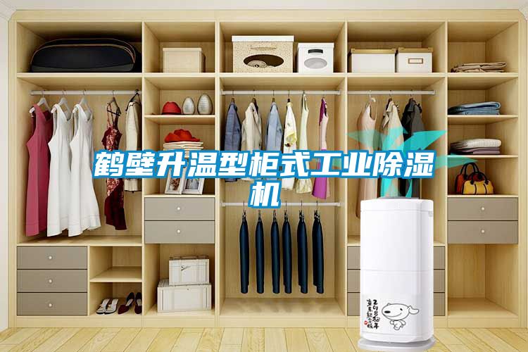 鹤壁升温型柜式工业麻豆视频黄网站