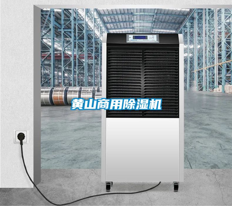 黄山商用麻豆视频黄网站