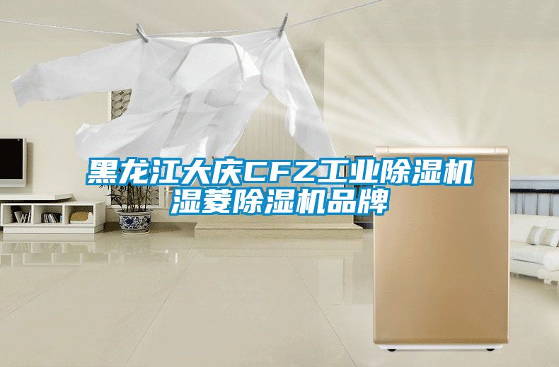 黑龙江大庆CFZ工业麻豆视频黄网站湿菱麻豆视频黄网站品牌