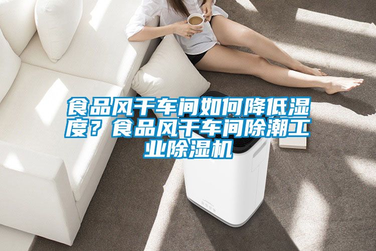 食品风干车间如何降低湿度？食品风干车间除潮工业麻豆视频黄网站