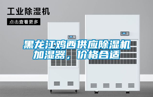黑龙江鸡西供应麻豆视频黄网站加湿器，价格合适