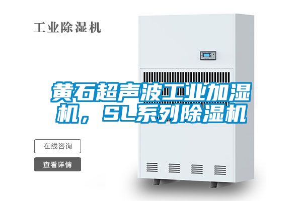黄石超声波工业加湿机，SL系列麻豆视频黄网站