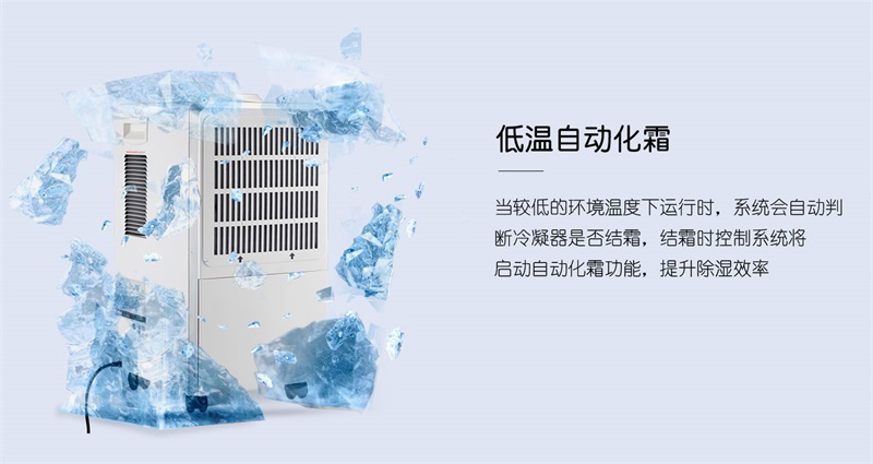 商用麻豆视频黄网站6