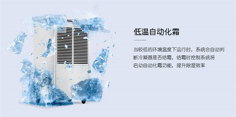 商用麻豆视频黄网站6