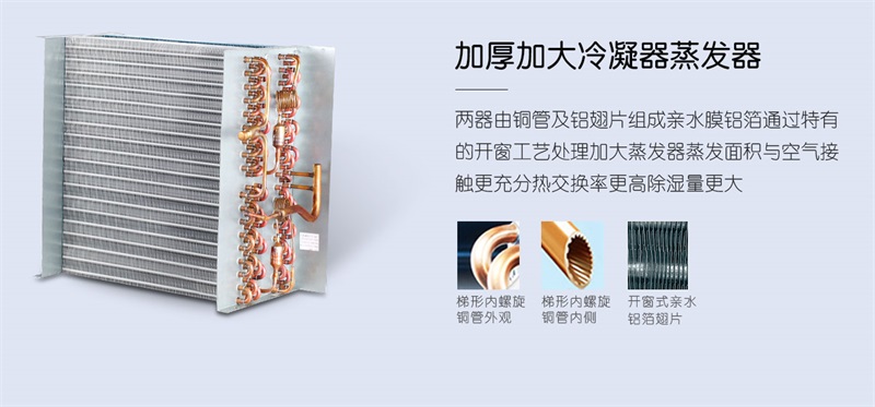 商用麻豆视频黄网站3