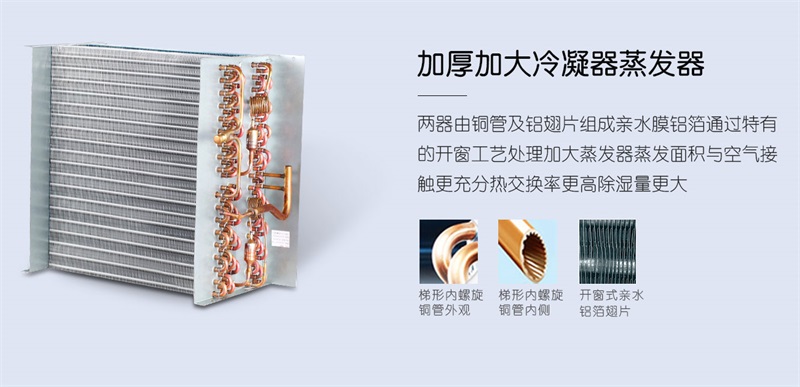 手推麻豆视频黄网站2