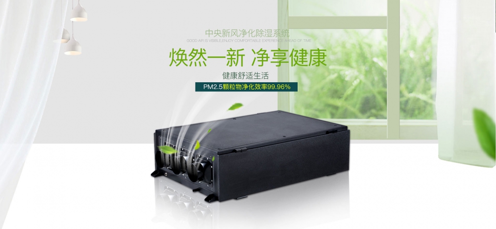 新风净化麻豆视频黄网站02