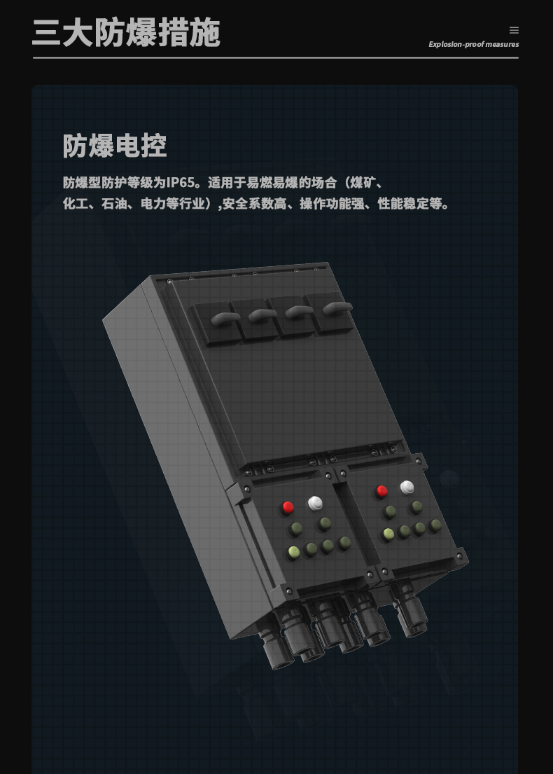 防爆麻豆视频黄网站C168 (8)