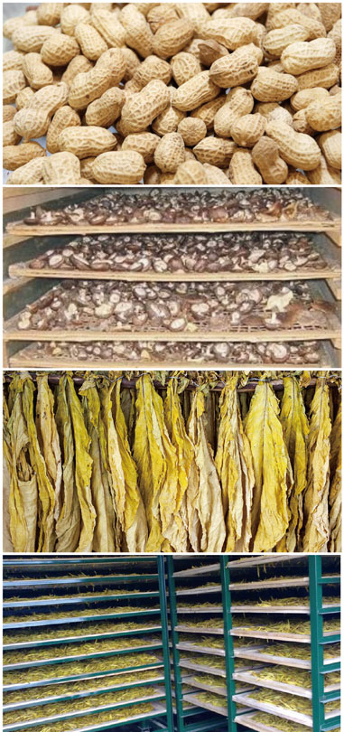  食用菌烘干处理国产麻豆剧果冻传媒星空视频